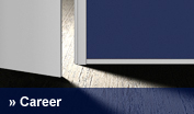 Career