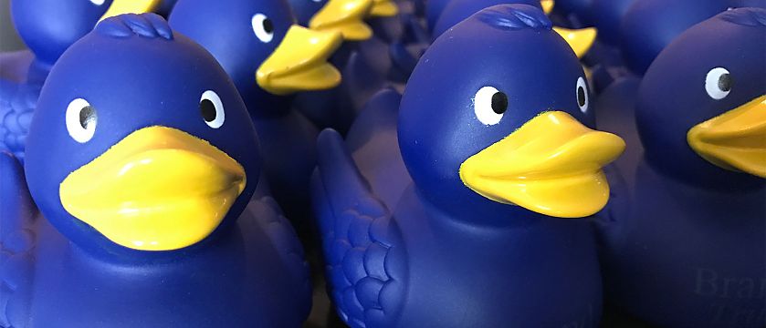 Bei Enten findet die Leistung unter der (Wasser-)Oberfläche statt - bei Marken auch Bei Enten findet die Leistung unter der (Wasser-)Oberfläche statt - bei Marken auch