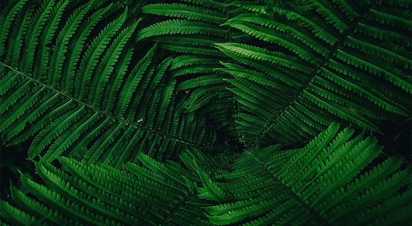 Glossarbeitrag Greenwashing Glossarbeitrag Greenwashing