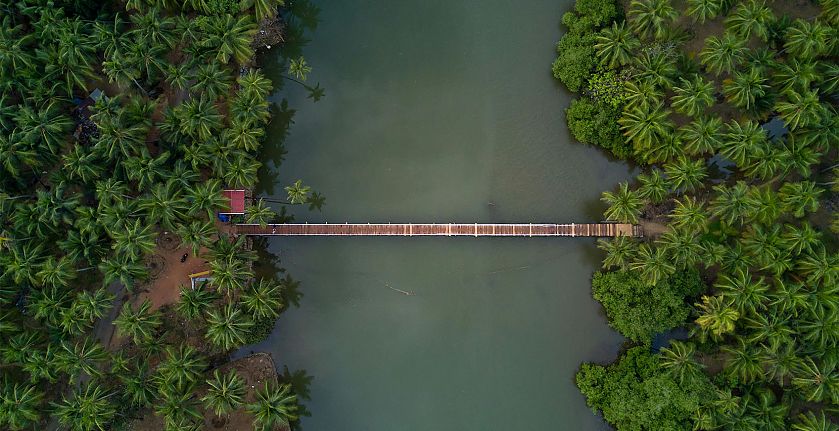 BrandTrust Glossar Purpose - Foto: Brücke über einen See im Regenwald - © Pexels: Guduru Ajay bhargav