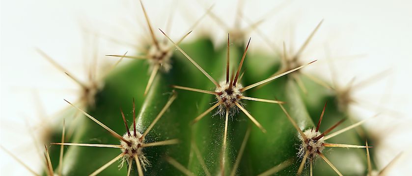 Bildquelle: ©Heiko Küverling - Fotolia.com