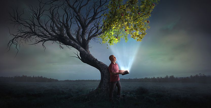 Bildquelle: © kevron2001 / Fotolia Bildquelle: © kevron2001 / Fotolia