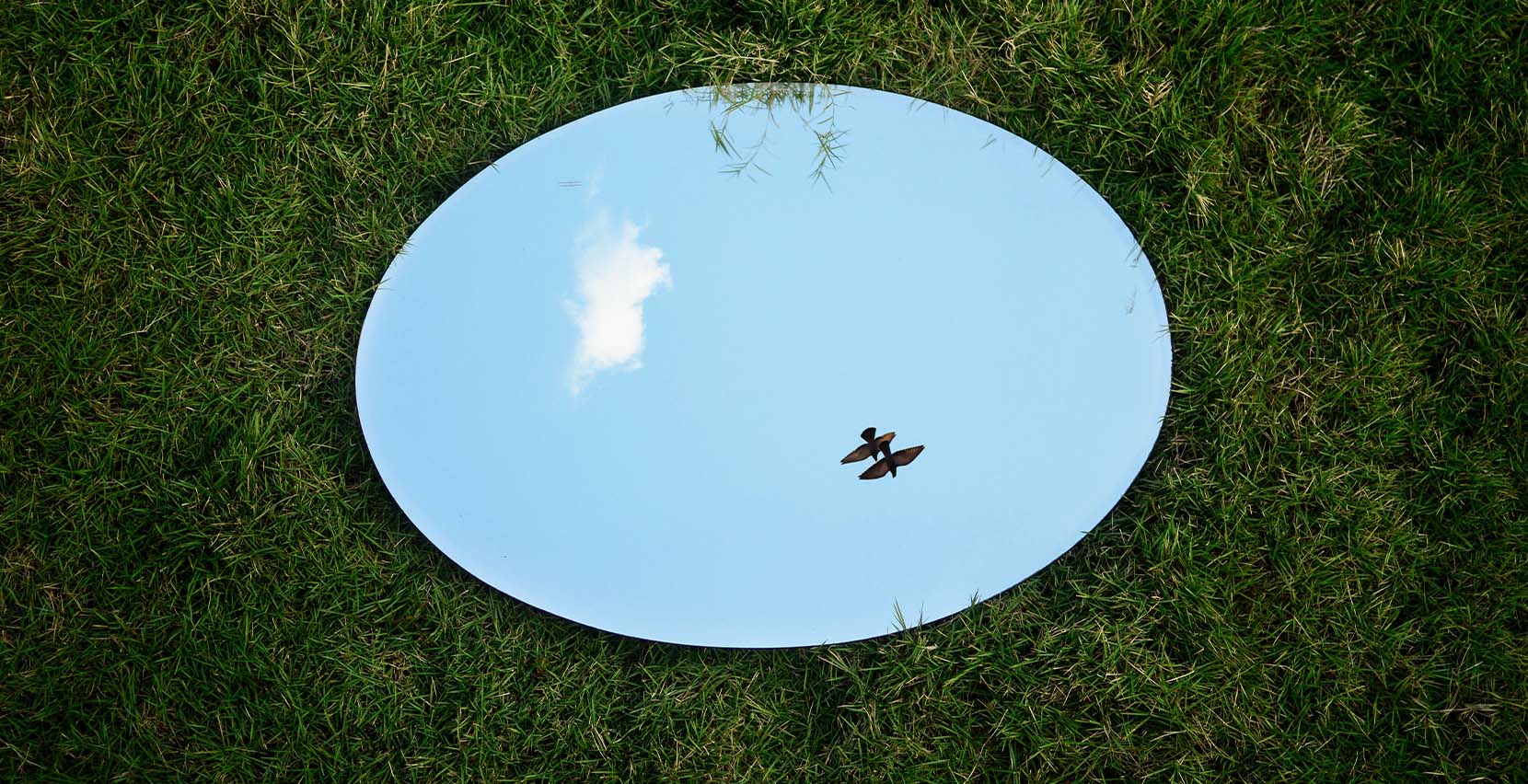 Inspiration by BrandTrust: The Great Shift