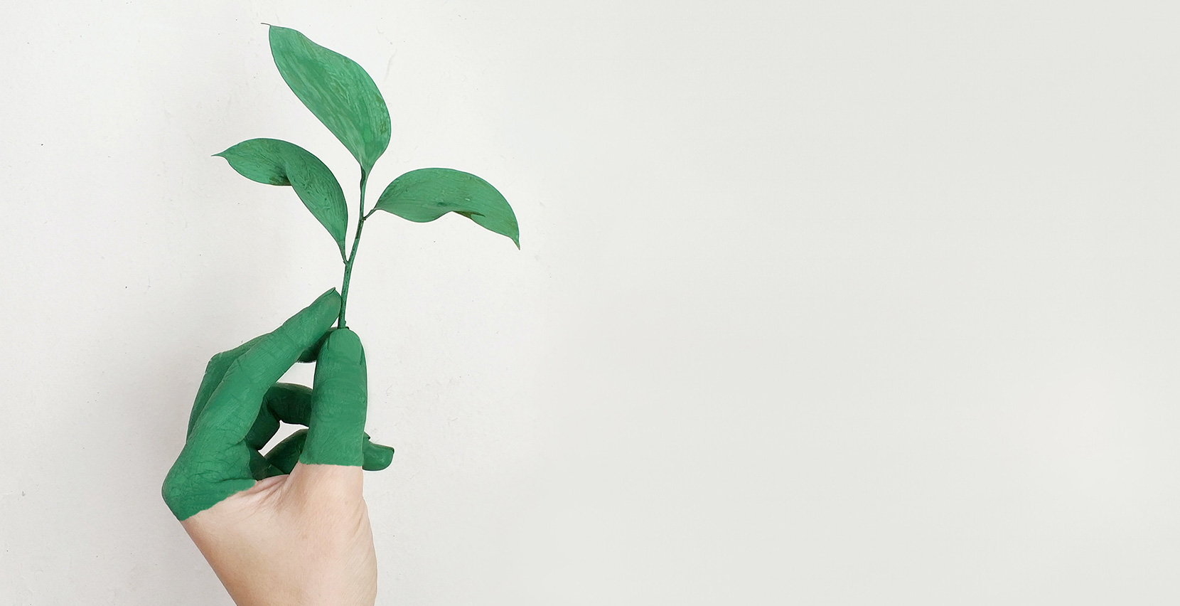 Brand & Sustainability