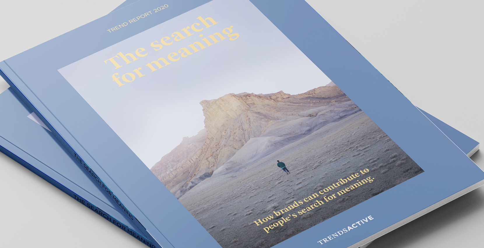 Trendreport – The Search for Meaning